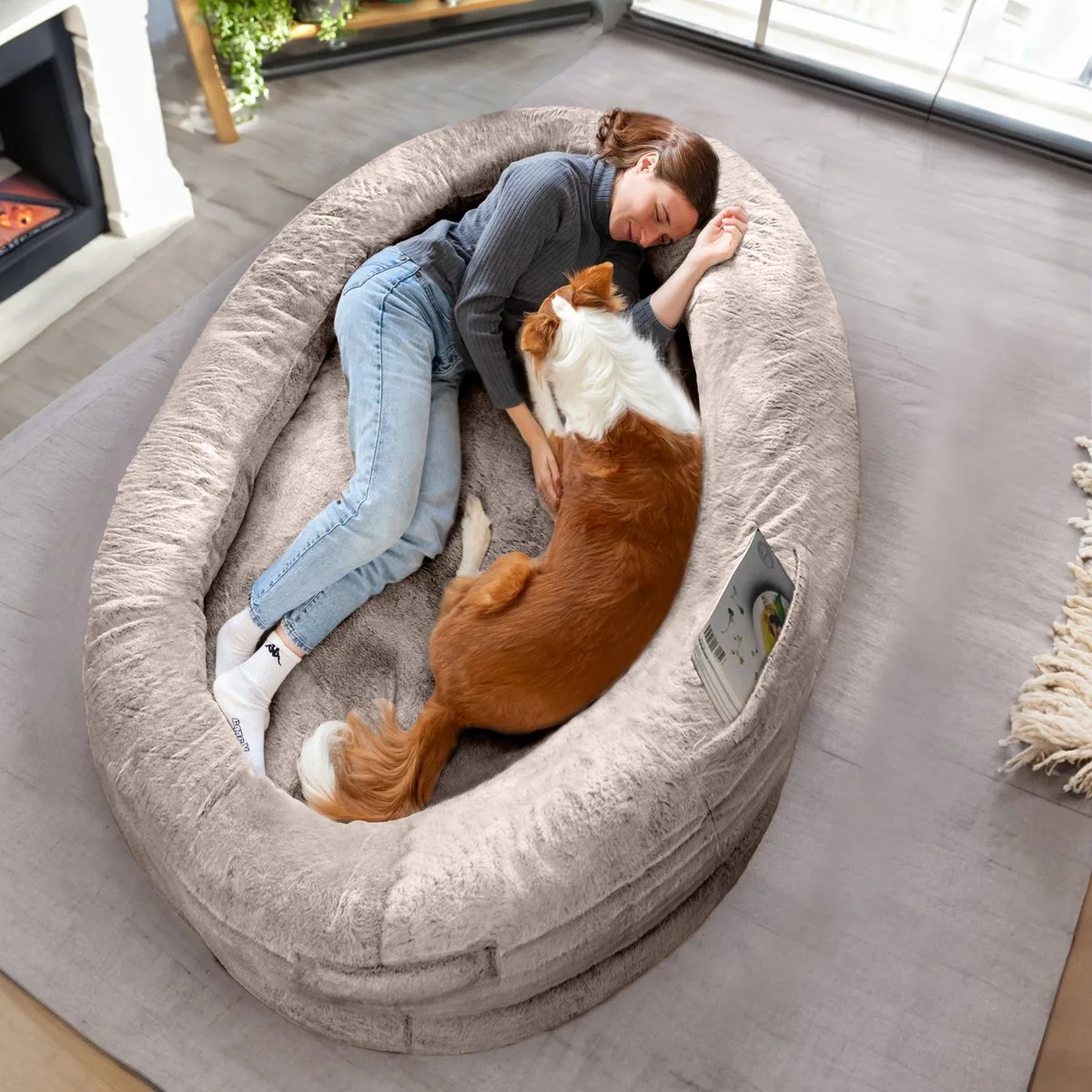 Drie honden die samen over een pad lopen