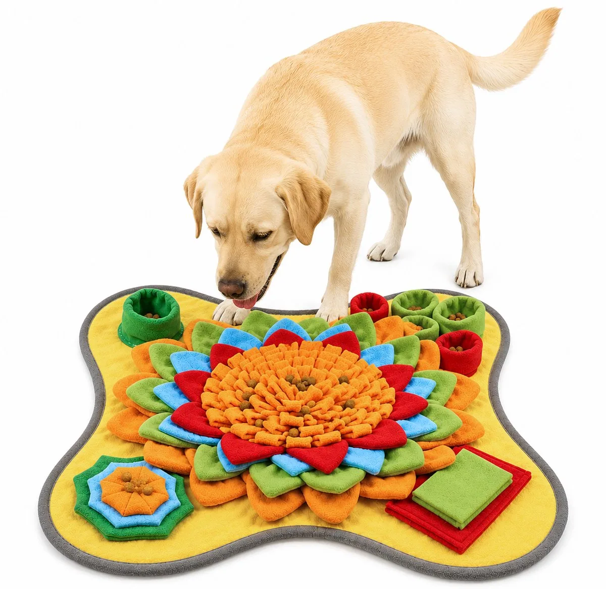Hond die een oefening doet met een beloning