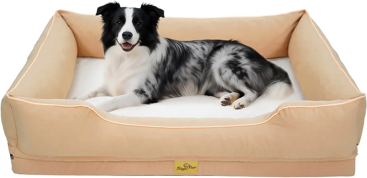 Twee honden naast elkaar in een tuin